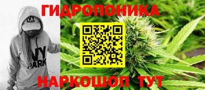 прущие грибы Бугуруслан