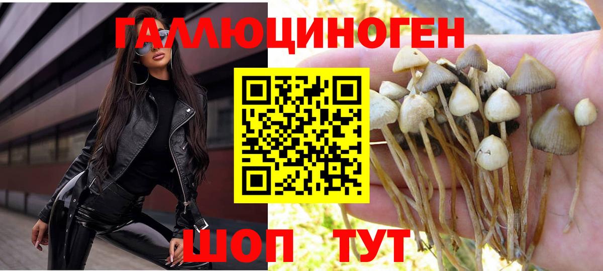 Псилоцибиновые грибы Cubensis Пятигорск